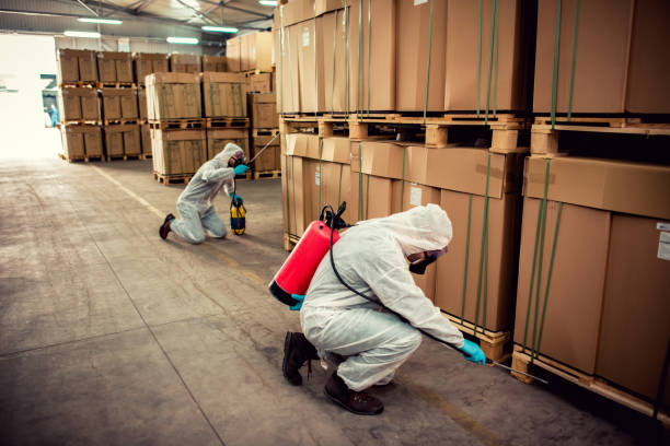 Best Pest Prevention Services  in Hayden, CO