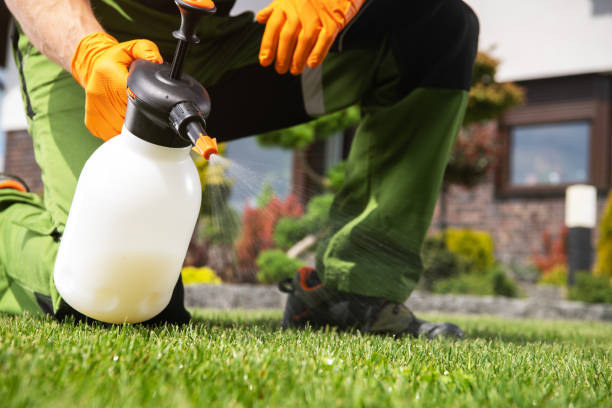 Best Pest Removal Services  in Hayden, CO