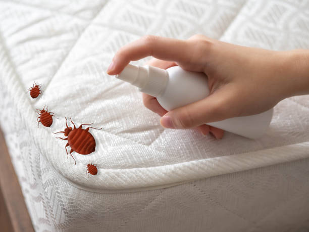 Best Commercial Pest Control Services  in Hayden, CO